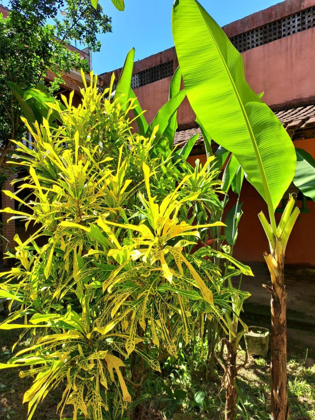 Casa Costa Verde-Muriqui Vila Muriqui Dış mekan fotoğraf